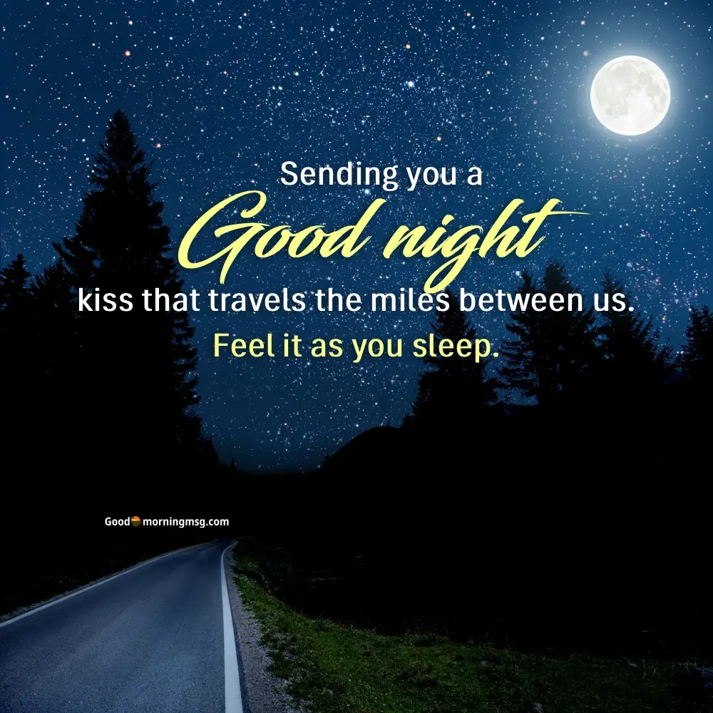Best Good Night Love Quotes