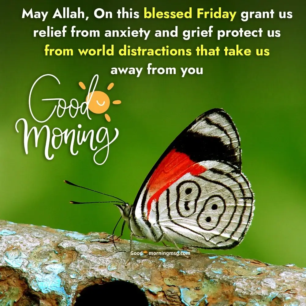 Blessed Friday Morning Quotes