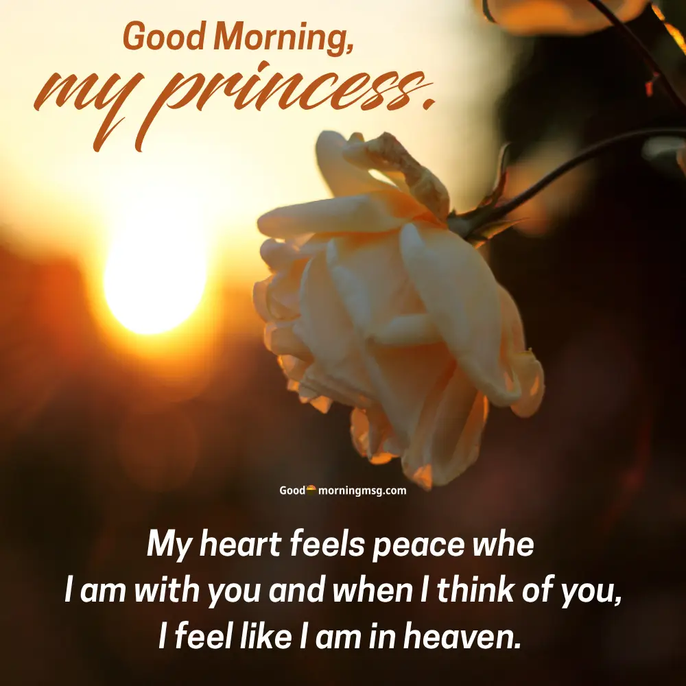 Cute Gud Nite Pics I Goodmorningmsg.com