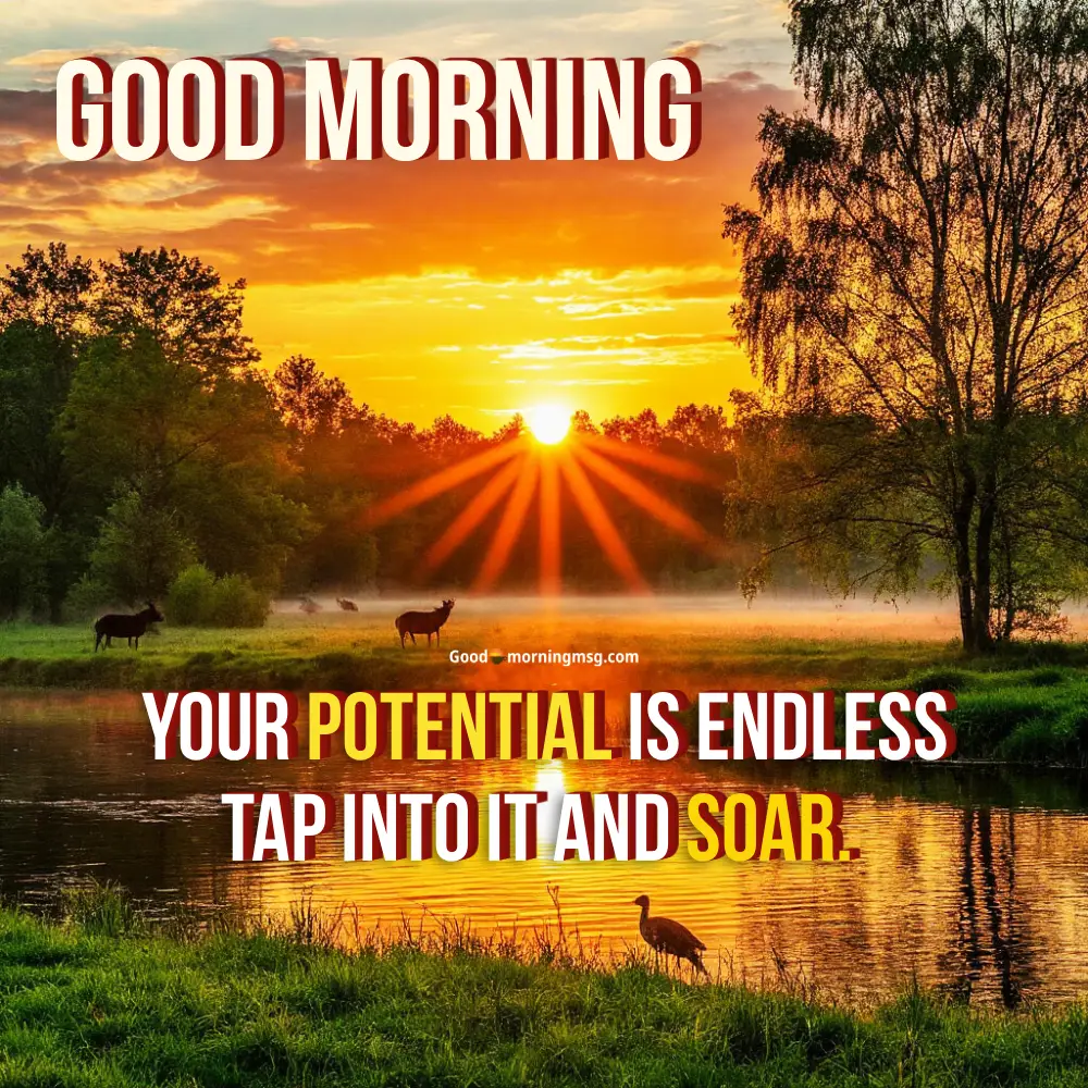 Good Morning Love With Flowers I Goodmorningmsg