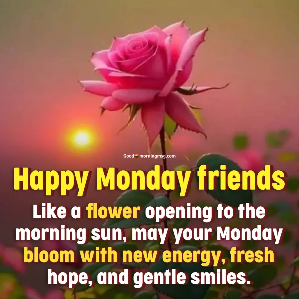 Good Morning Quotes For Friends