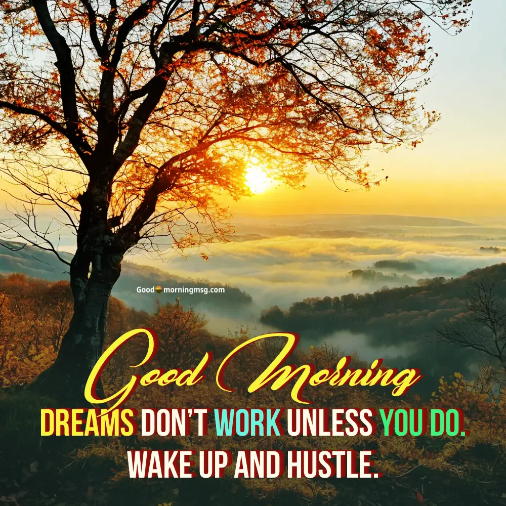 Good Morning With Flowers Pics I Goodmorningmsg