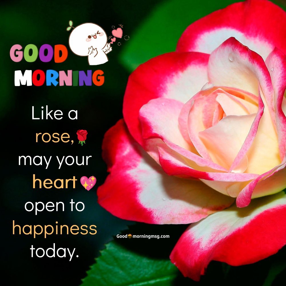 Heart Romantic Good Morning Rose I Goodmorningmsg
