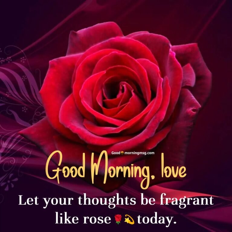 20+ Romantic Good Morning Rose Love Images and Quotes For Sweetheart ...
