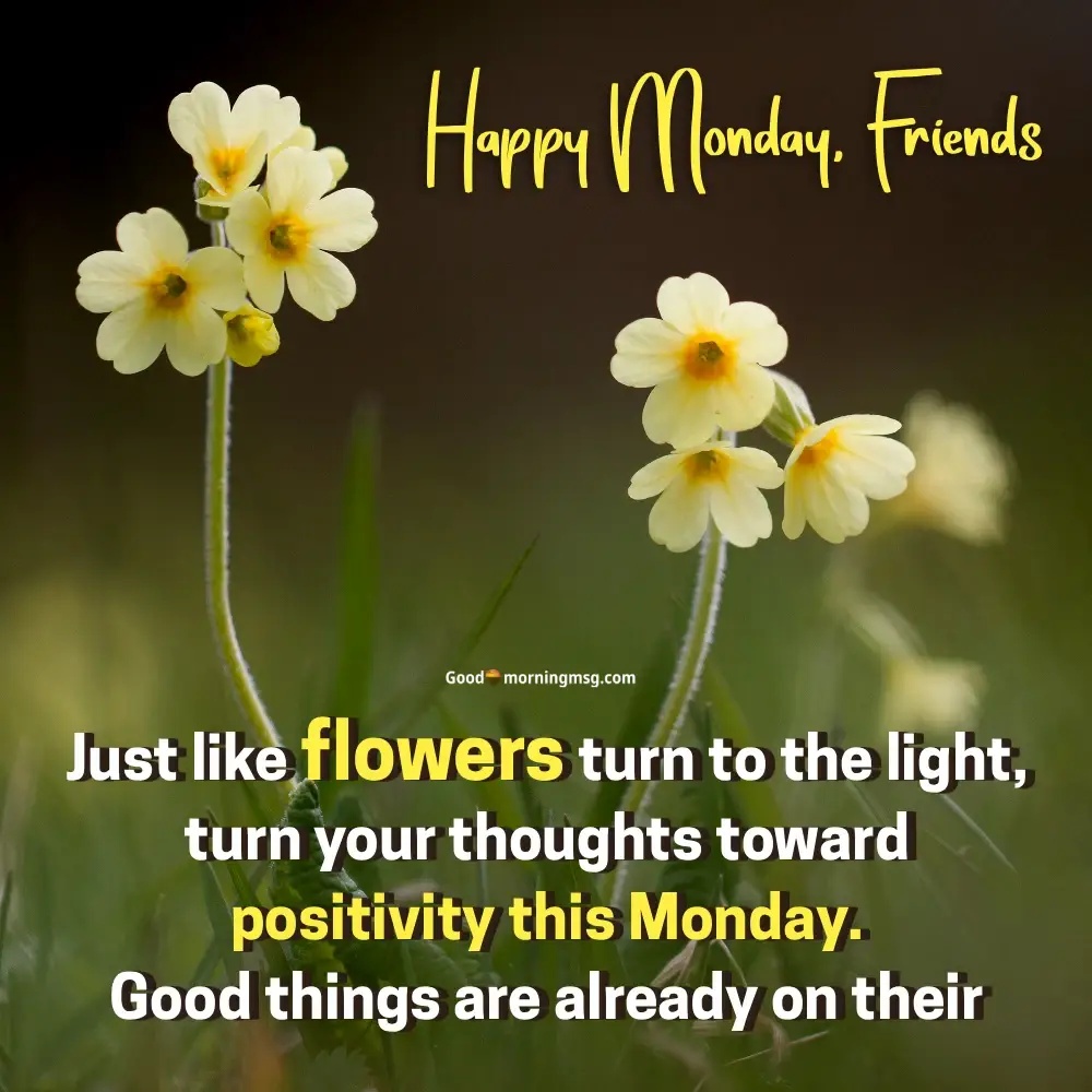 Quotes For Good Morning Friends