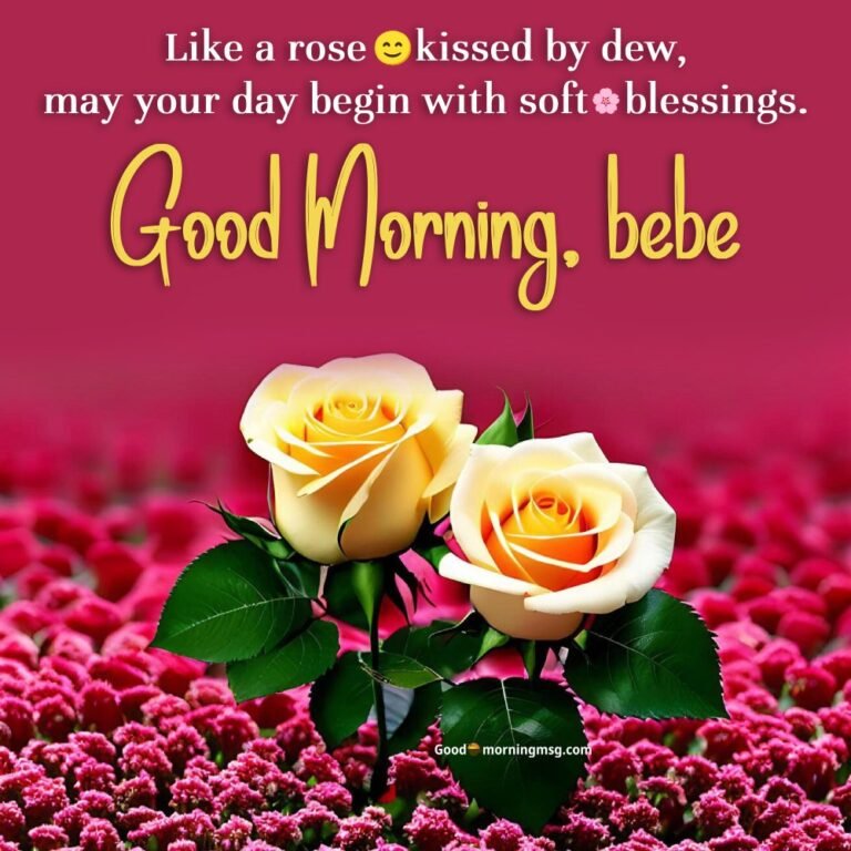 20+ Romantic Good Morning Rose Love Images and Quotes For Sweetheart ...
