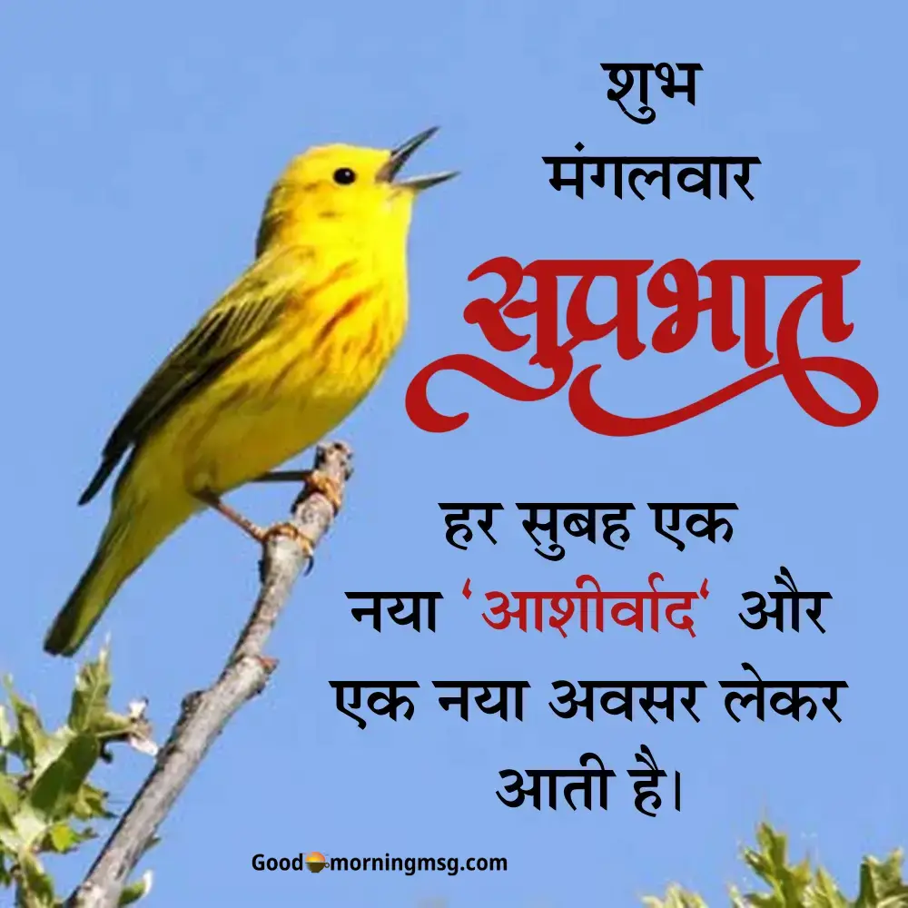 Tuesday Good Morning Images God