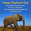 12 Aug World Elephant Day Quotes And Poster