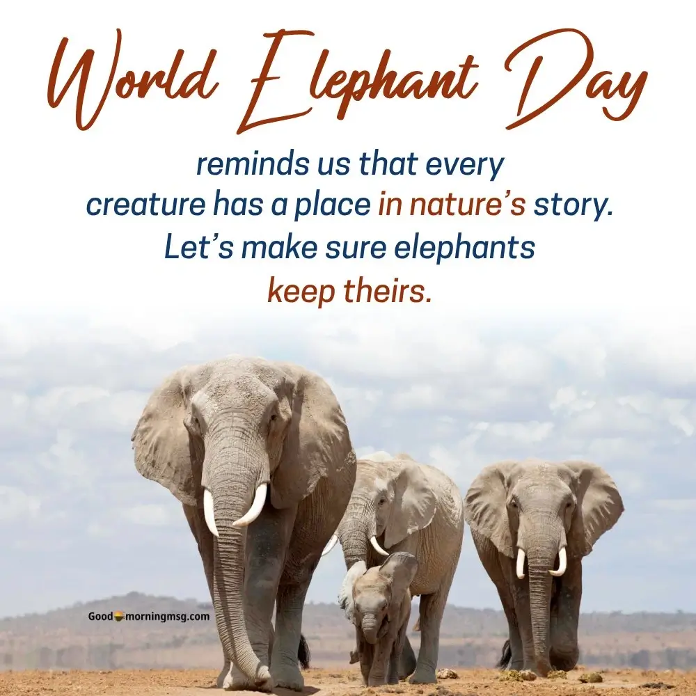12 Aug World Elephant Day Quotes And Poster