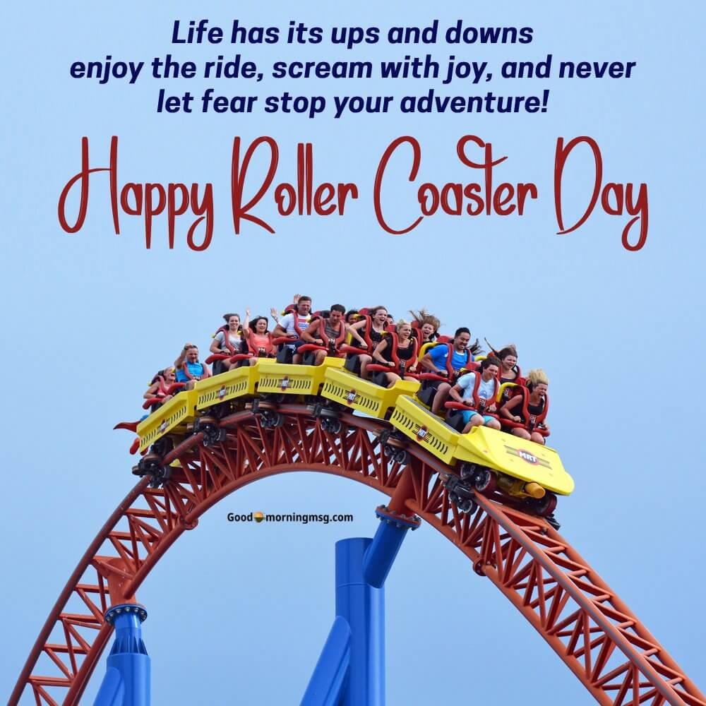 Amusement Park Roller Coaster