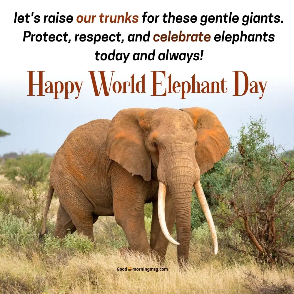 August 12 World Elephant Day