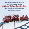 August 16 National Roller Coaster Day Quotes