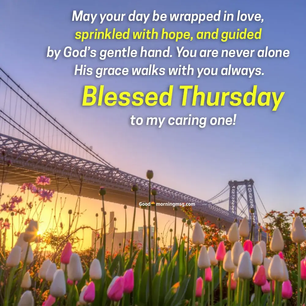 Beautiful Good Morning Quotes I Goodmorningmsg