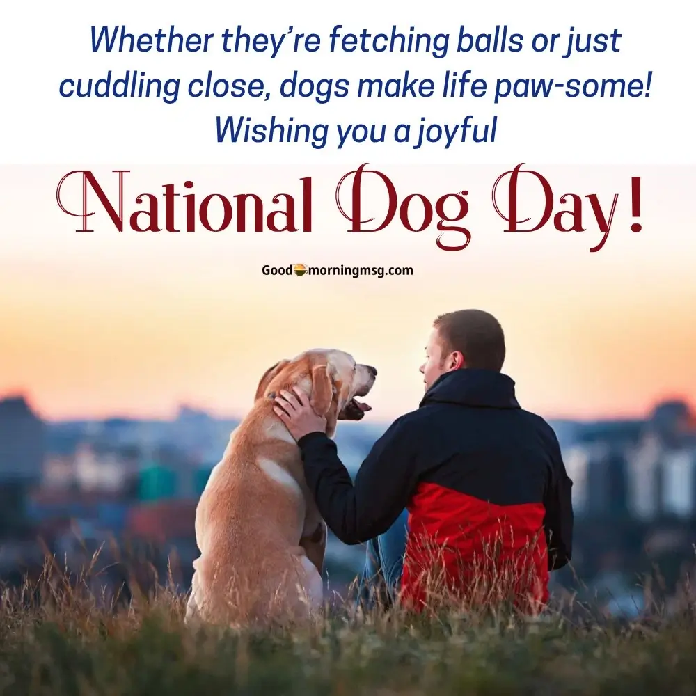 Every Dog Has Its Day Quotes