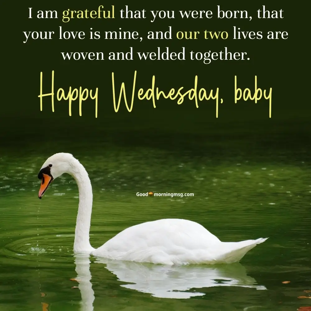 Famous Wednesday Addams Quotes