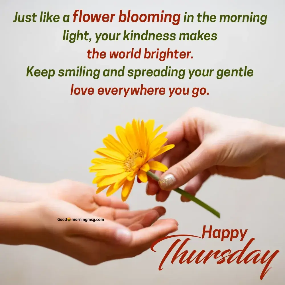 Flower Card Funeral Messages