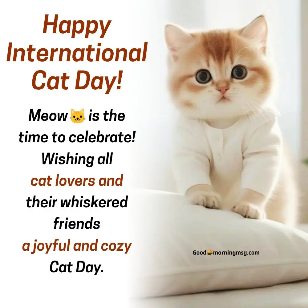Happy International Cat Day Quotes
