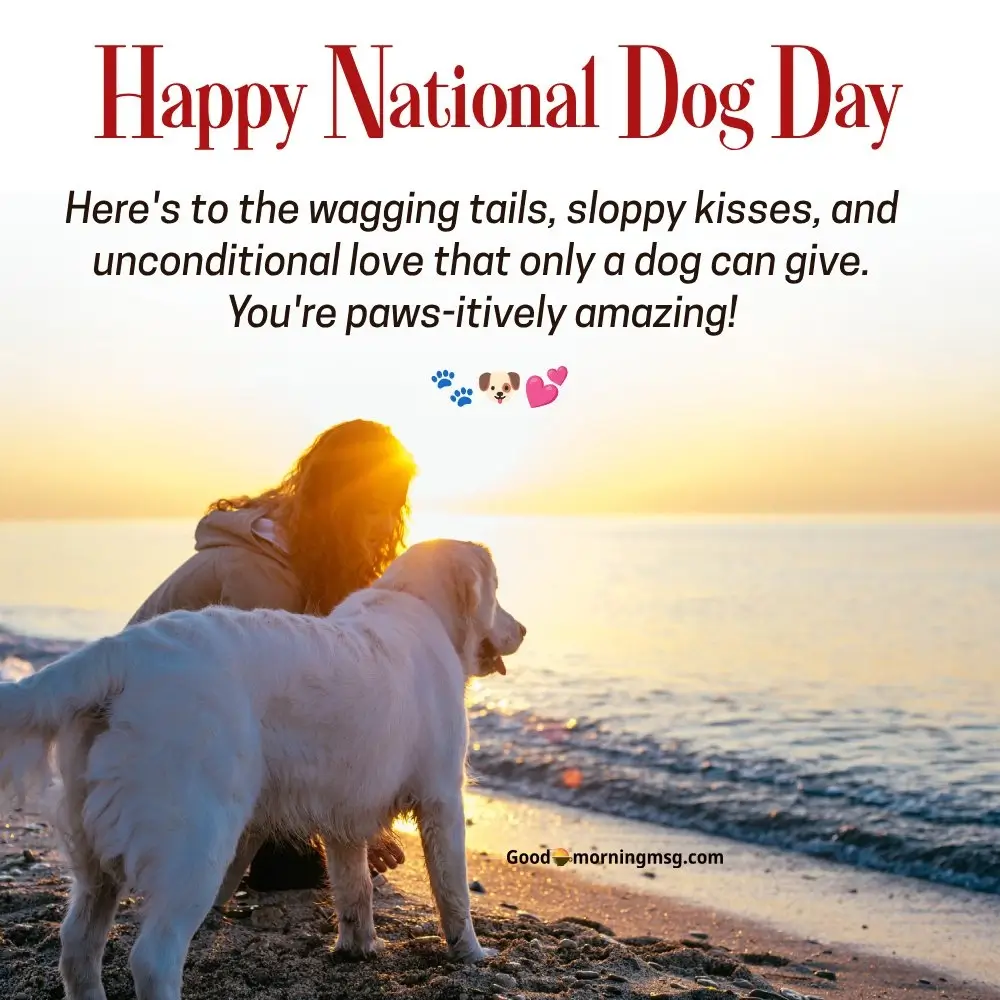 Happy International Dog Day