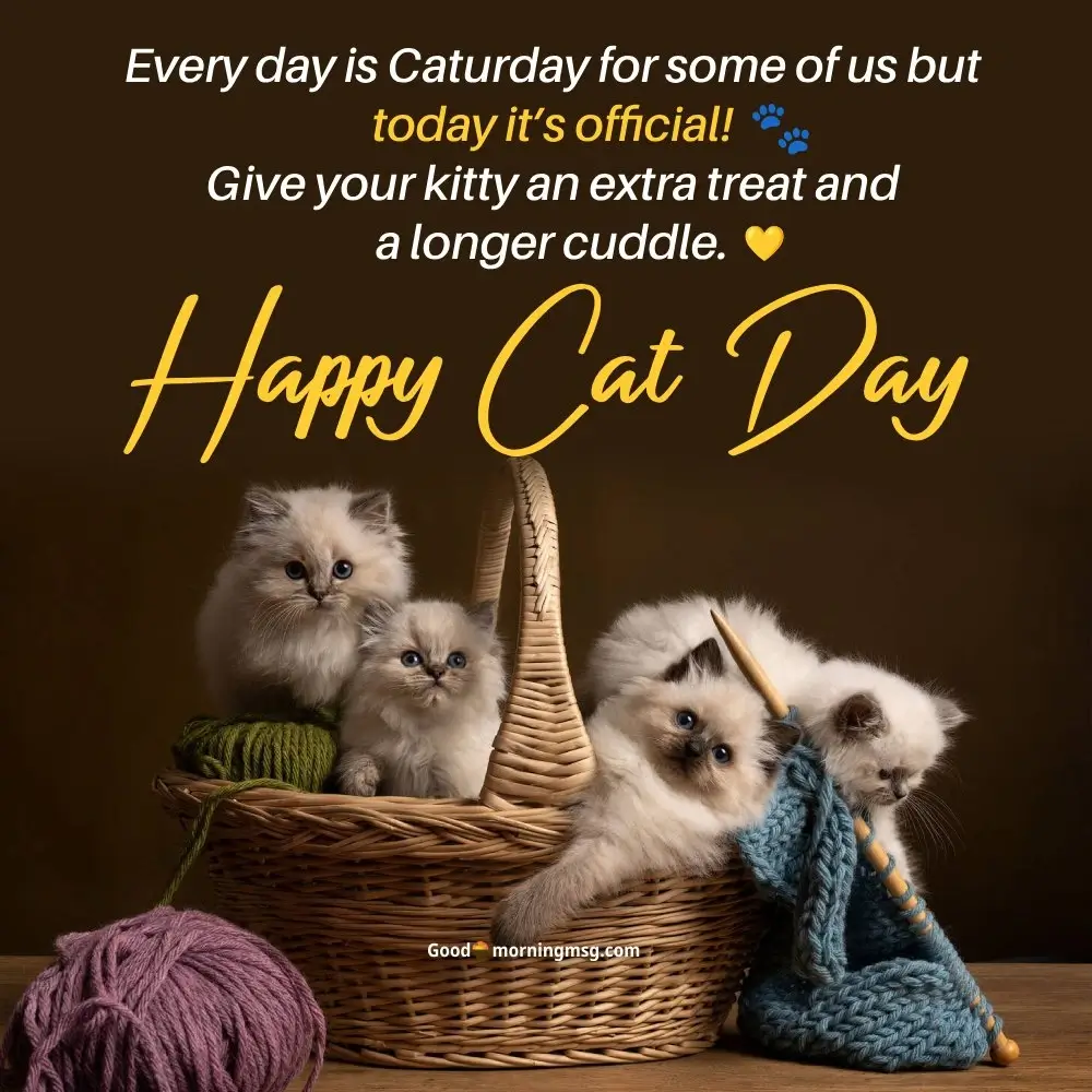 Happy National Cat Day