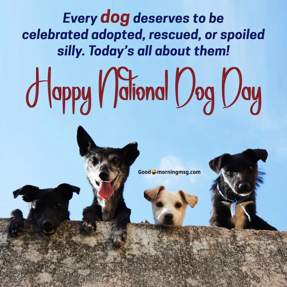 Happy National Dog Day