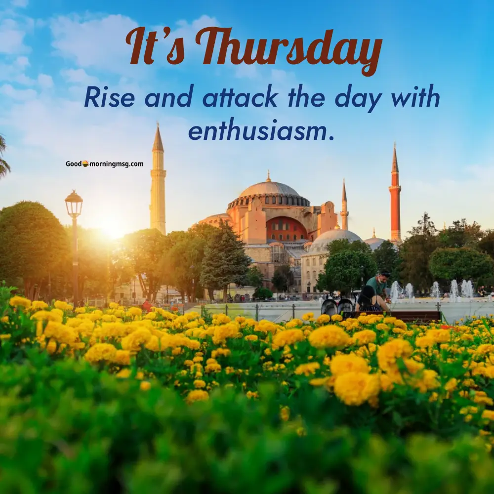 Happy Thursday Beautiful Flowers