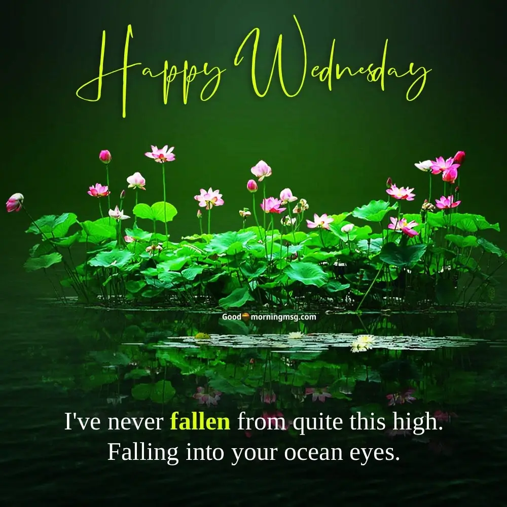 Happy Wednesday Quotes For Work