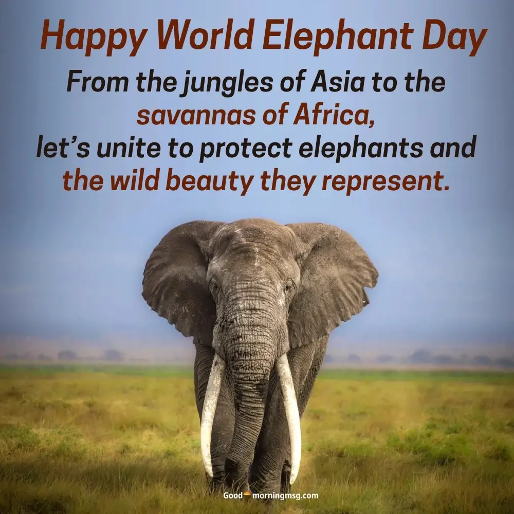 Inspirational World Elephant Day Quotes