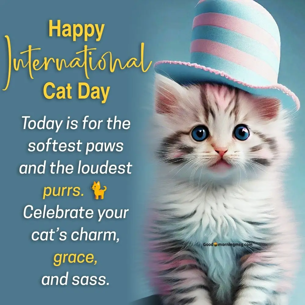 International Cat Day Poster