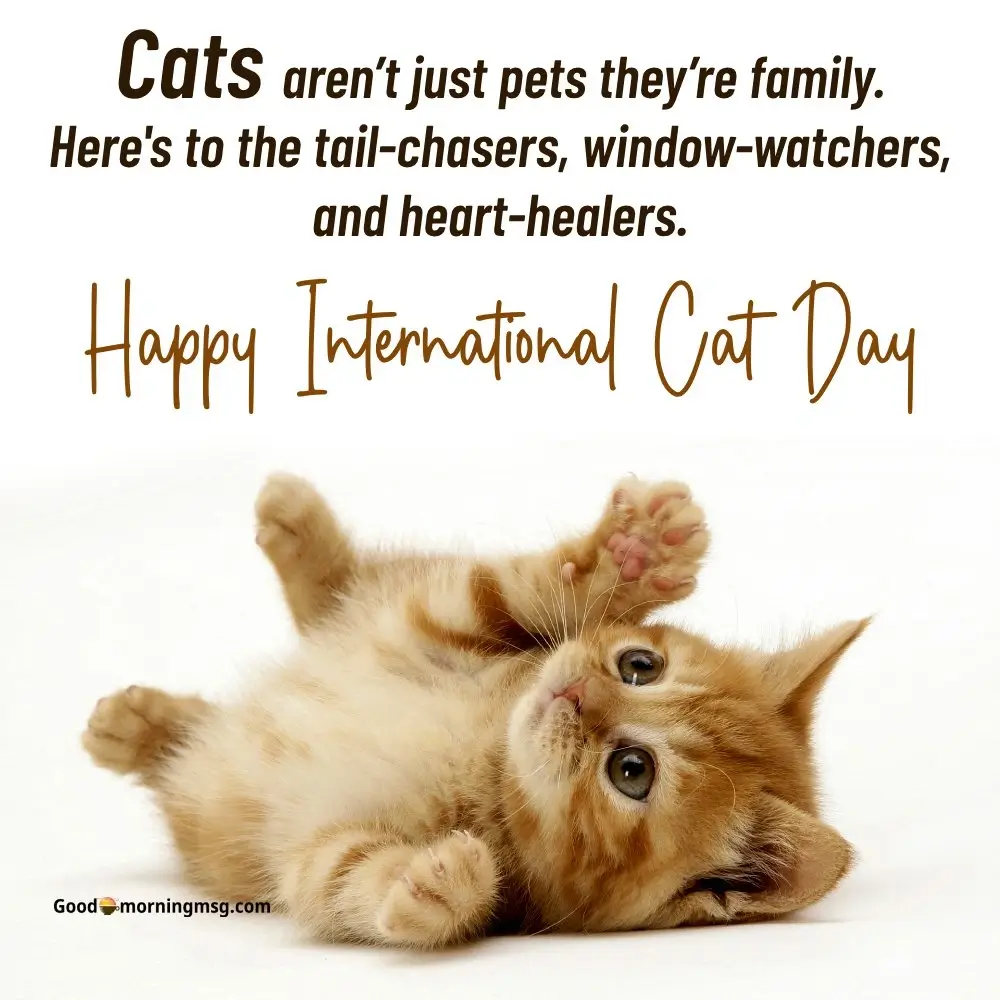 International Cat Day Uk