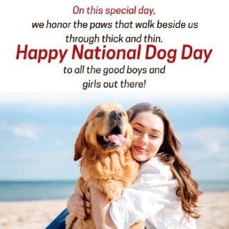 International Dog Day Australia