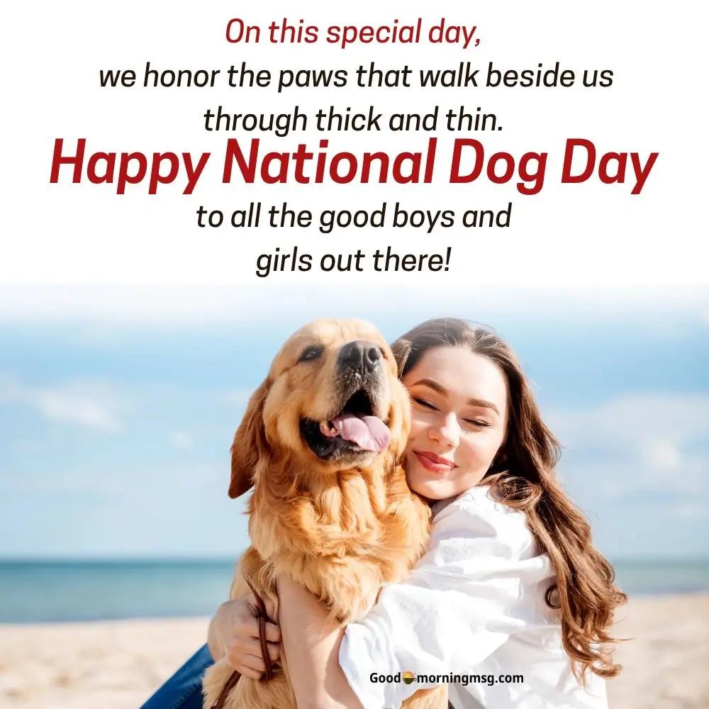 International Dog Day