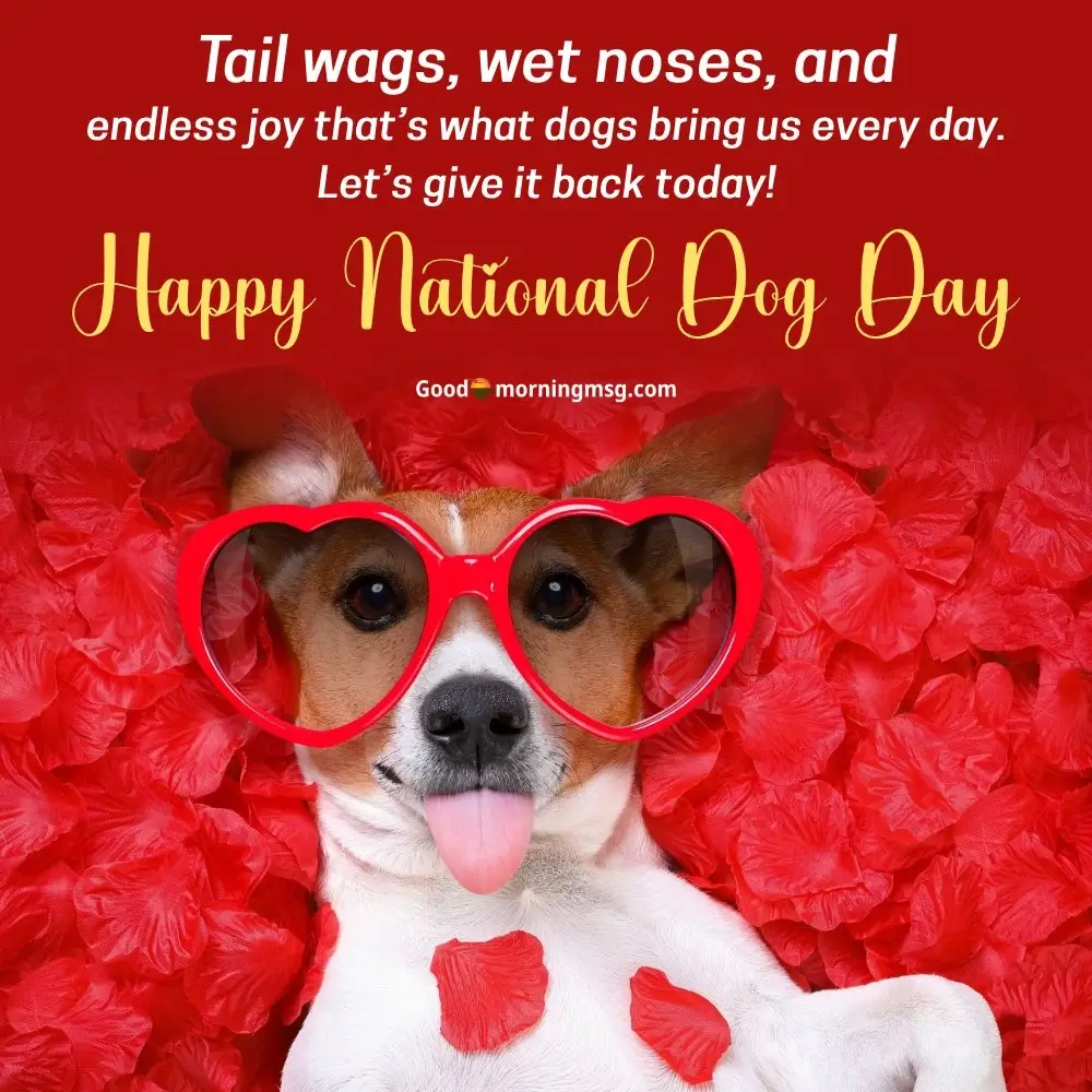 National Dog Day Quotes