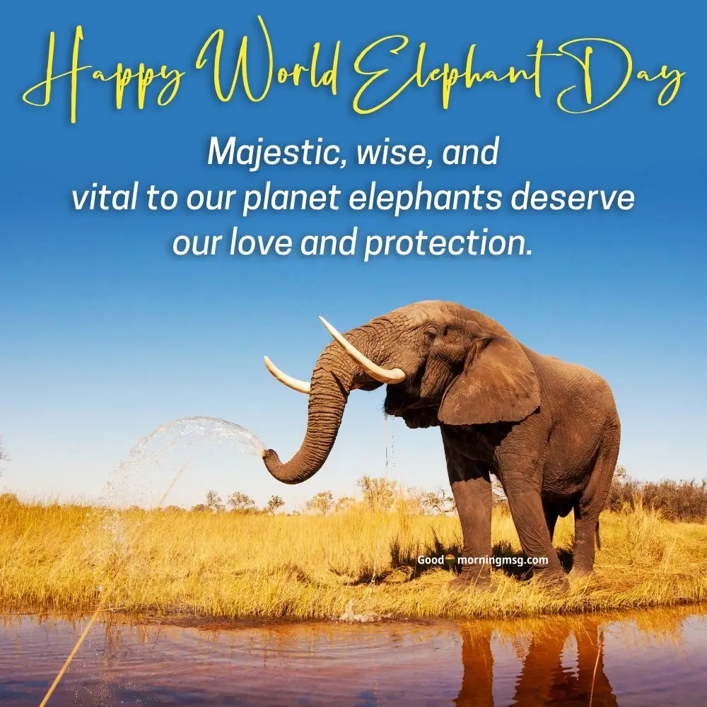National Elephant Day