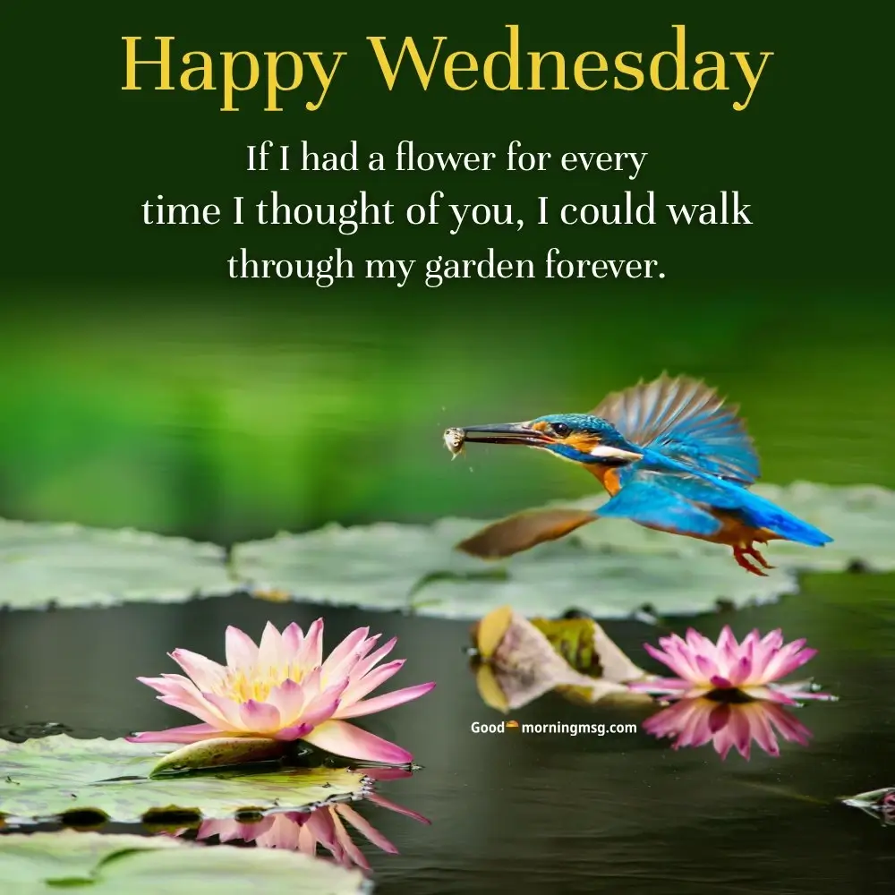 Wednesday Quotes Addams Family