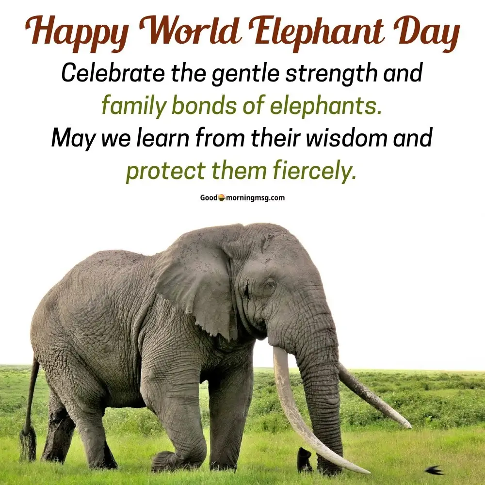 World Elephant Day Drawing