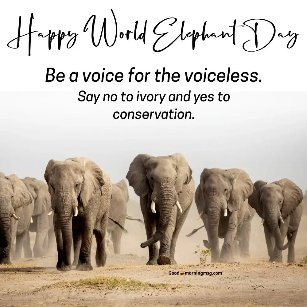 World Elephant Day Poster