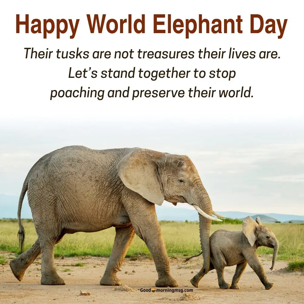World Elephant Day Theme