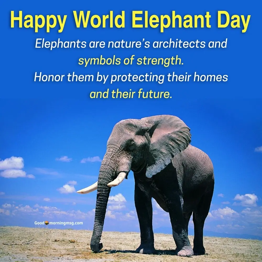 World Elephant Day