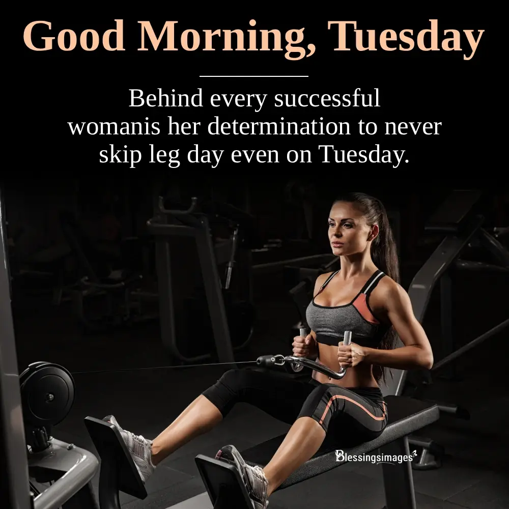 Gym Quotes For Motivational
