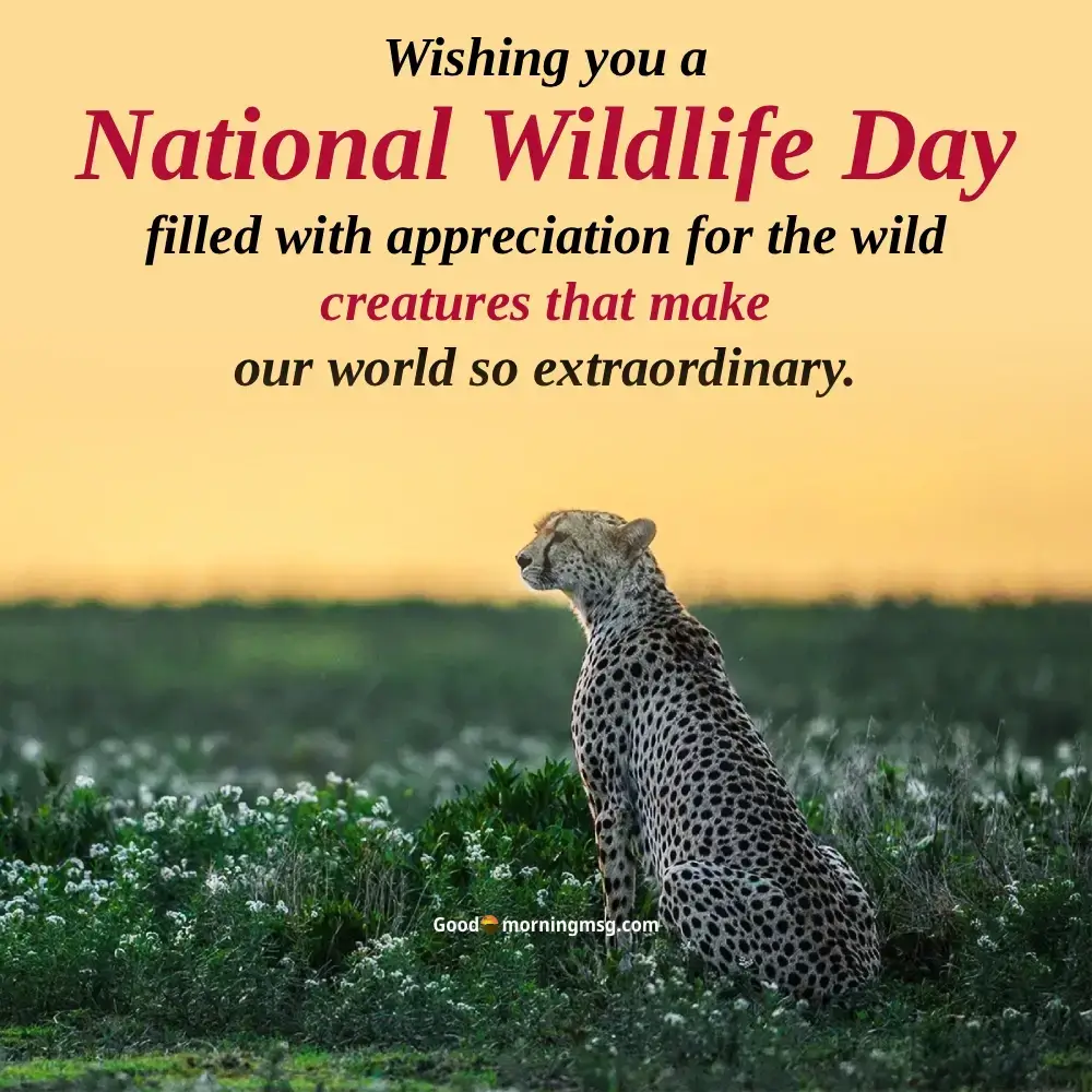 Happy National Wildlife Day