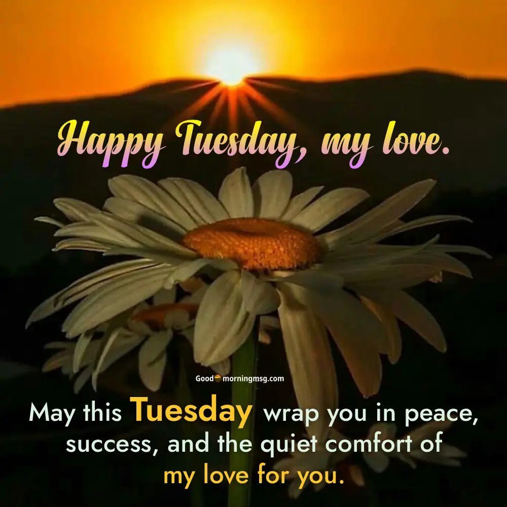 Happy Tuesday Good Morning Images