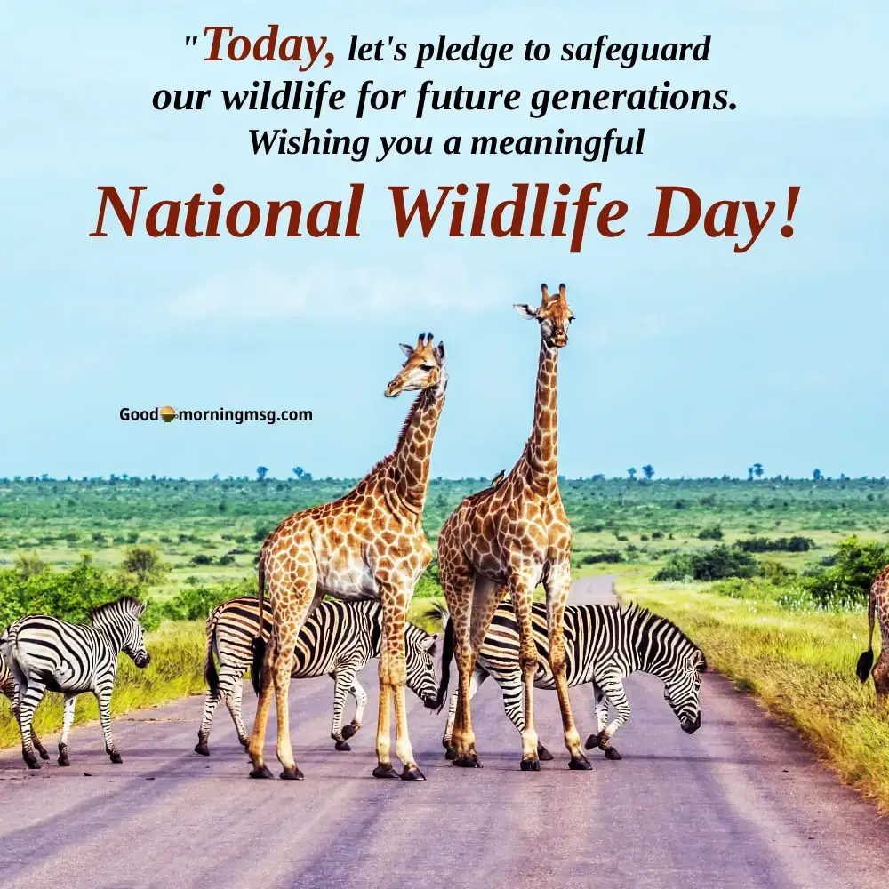 National Wildlife Day Images
