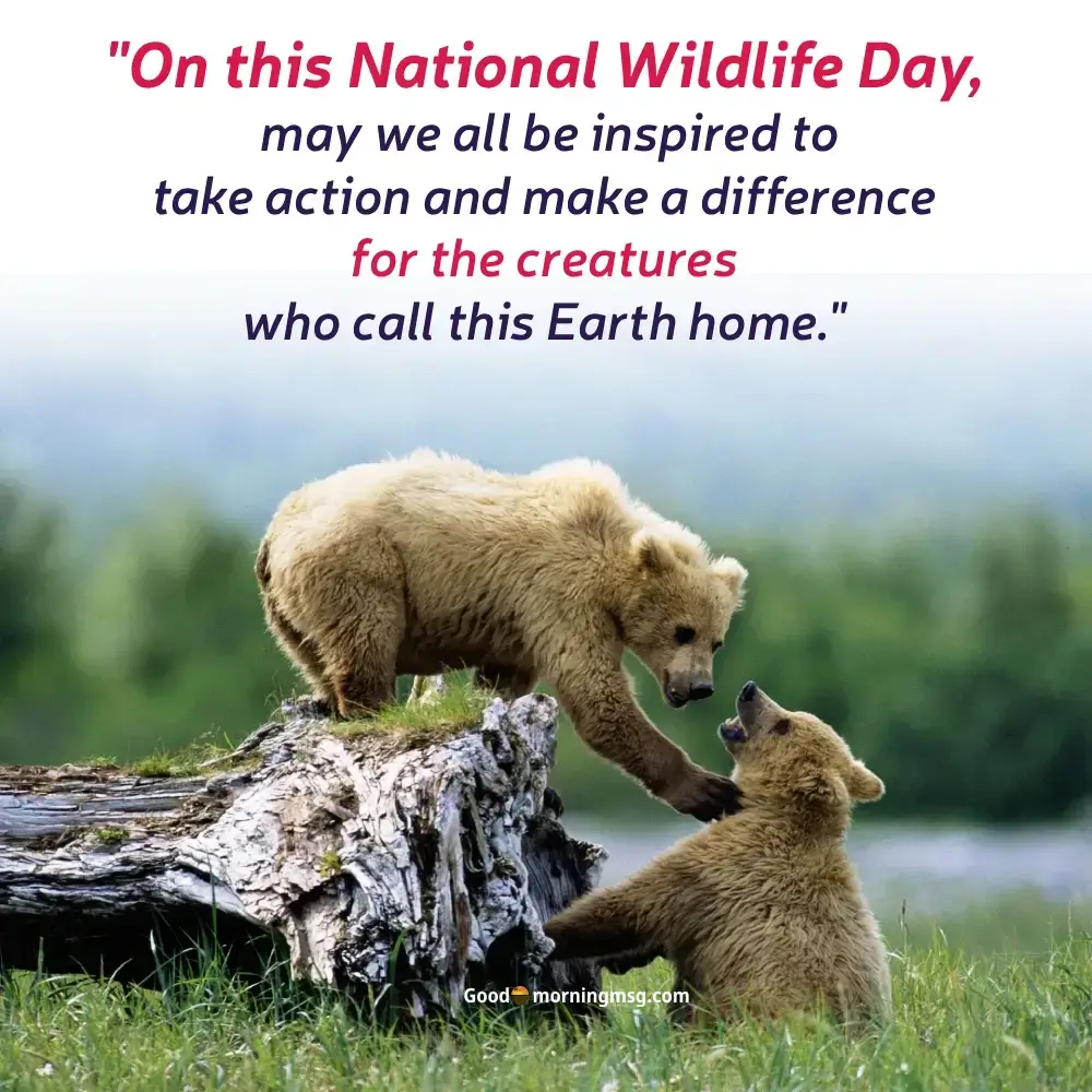 National Wildlife Day Poster