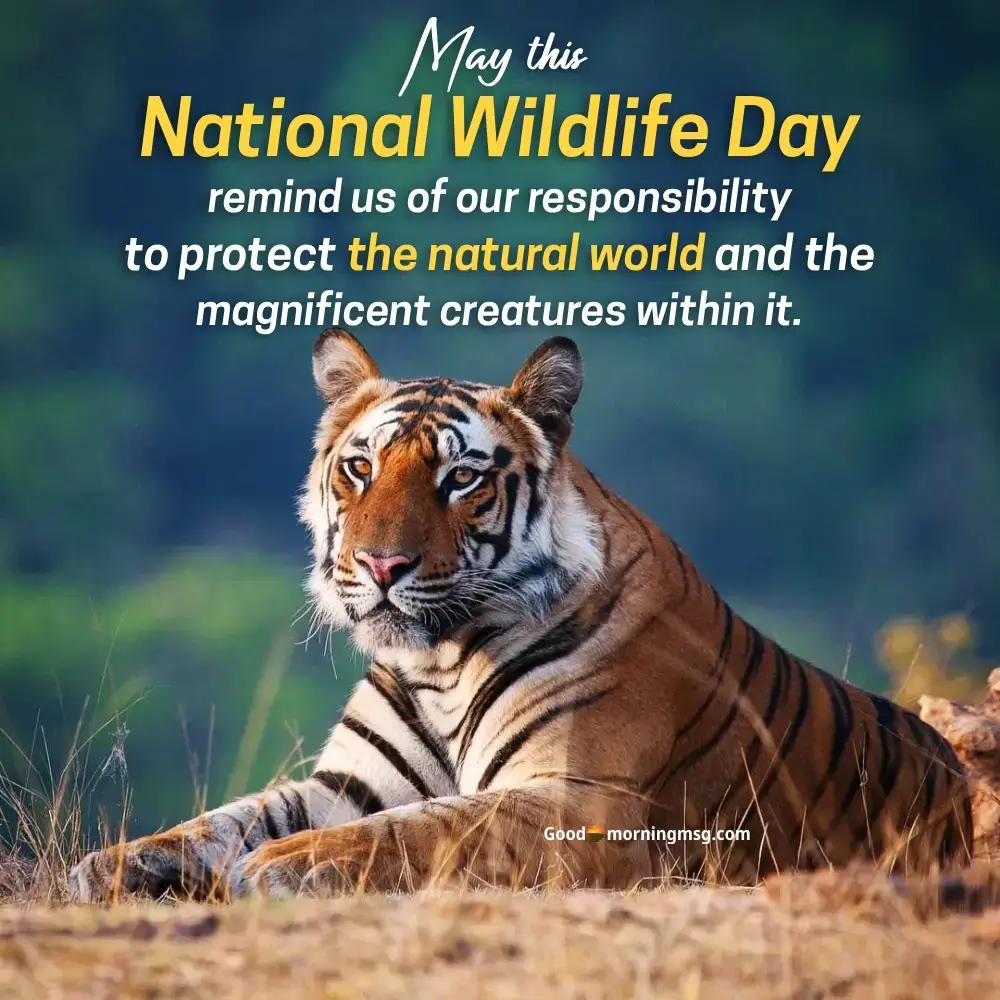 National Wildlife Day Quotes