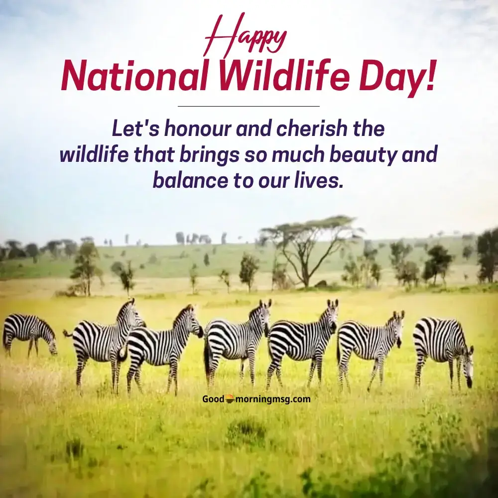 National Wildlife Day Wishes