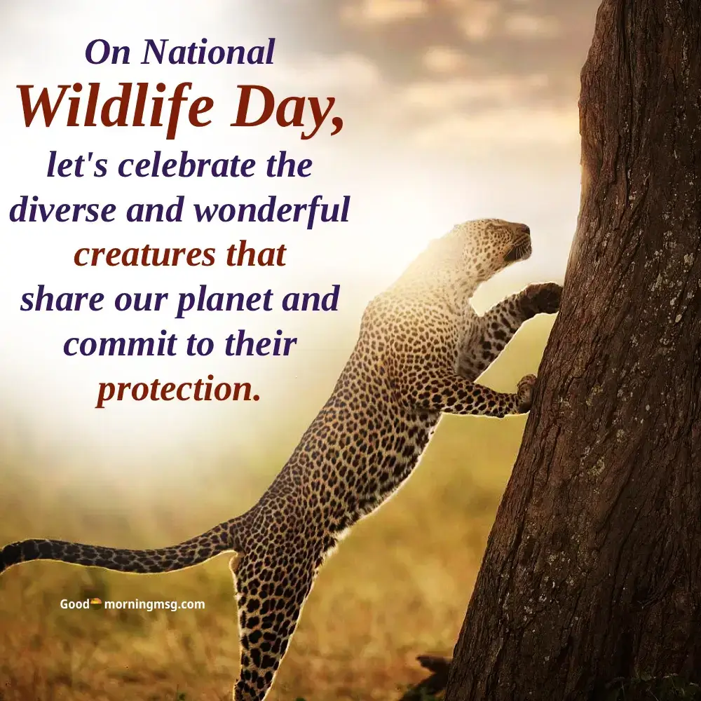 Poster Wildlife Day