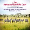 September 4 National Wildlife Day Wishes Quotes And Poster
