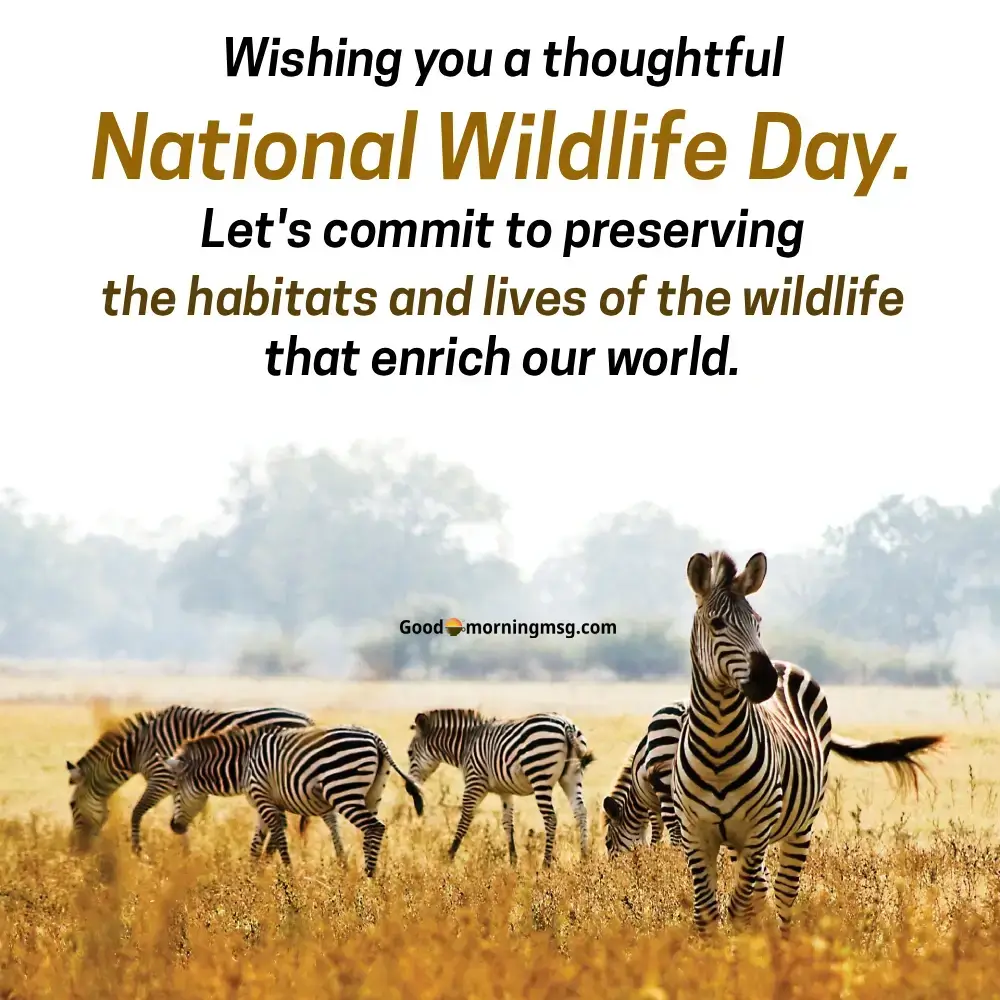 September 4 National Wildlife Day Wishes Quotes And Poster