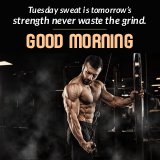Tuesday Fitness Quotes Gym Motivation And Inspiration