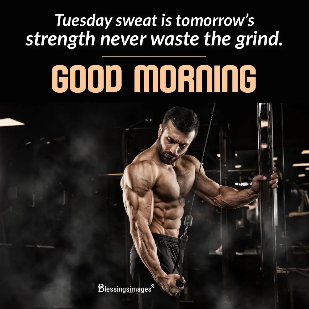 Tuesday Gym Motivation